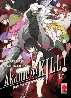 Akame Ga Kill! 1.5 – Night Raid Stories & Epilogue
