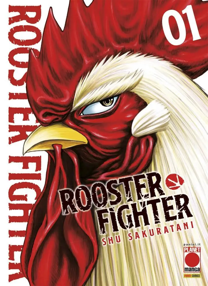Rooster Fighter