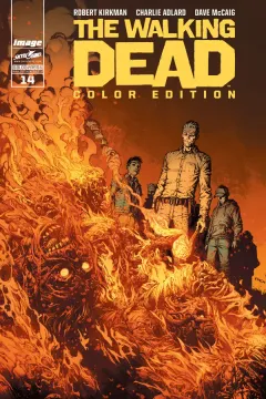 Volume cover