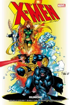 Volume cover