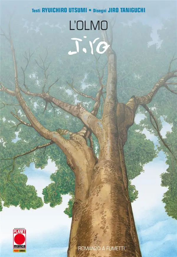 L'olmo