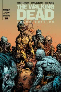 Volume cover
