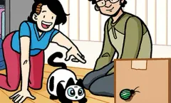 Chapter cover