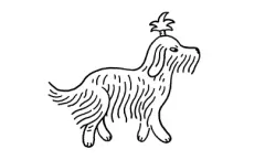 Chapter cover