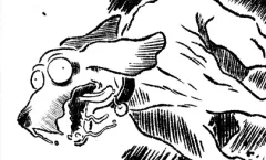 Chapter cover