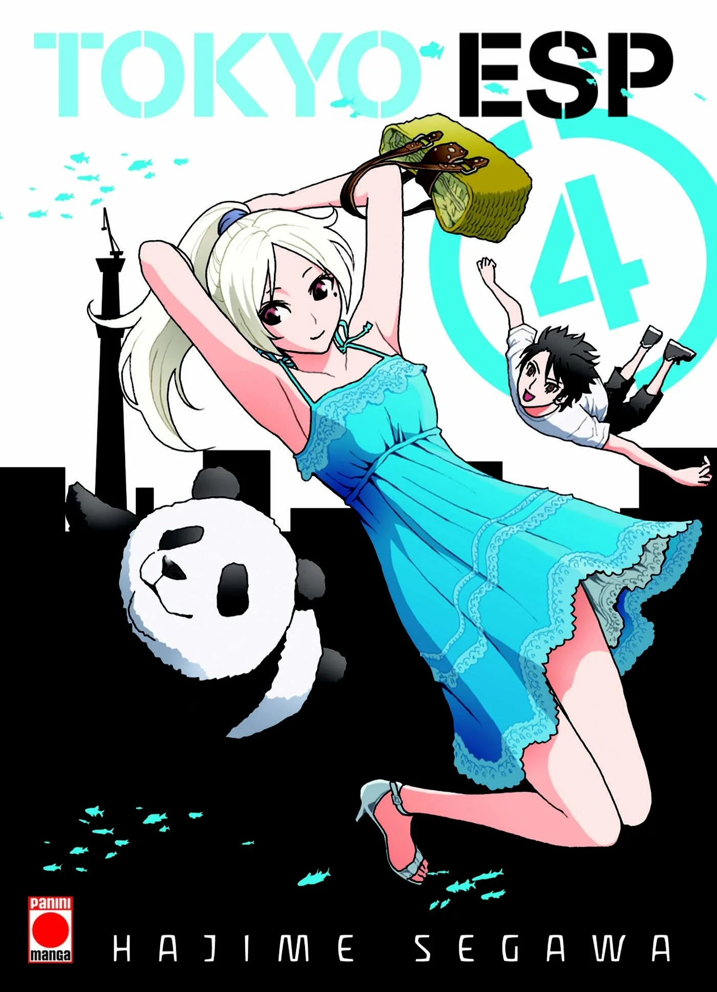 Volume cover