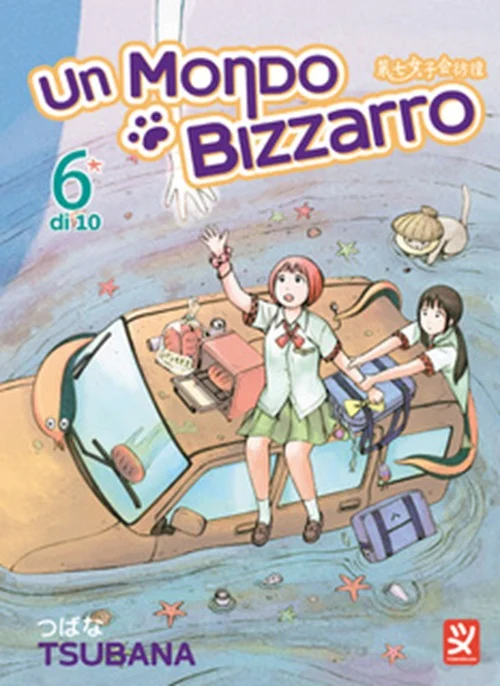 Volume cover